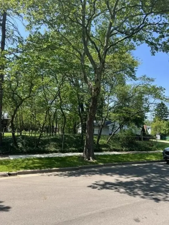 Picture 19