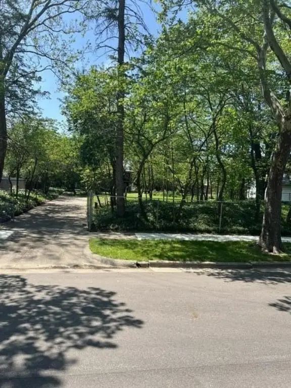 Picture 20