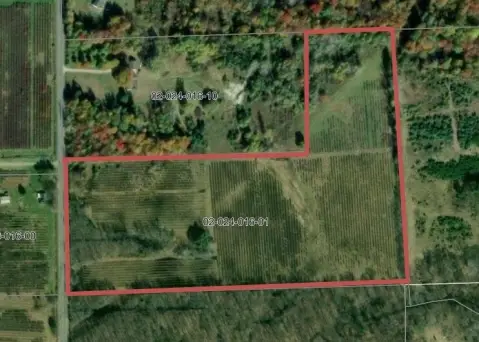 Grand Junction Blueberry Farm Land