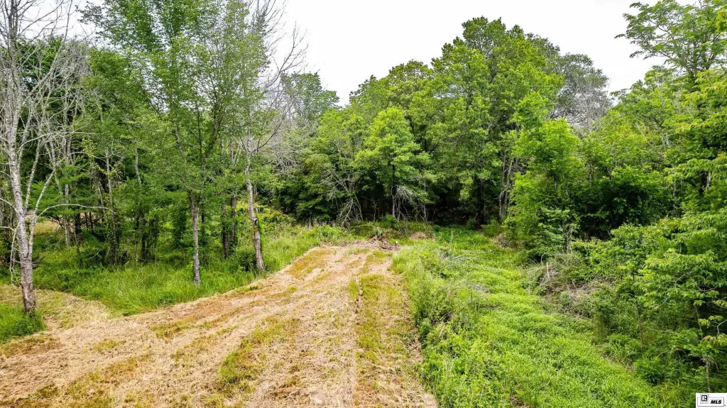 Picture 17