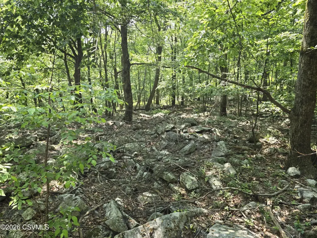 Picture 15