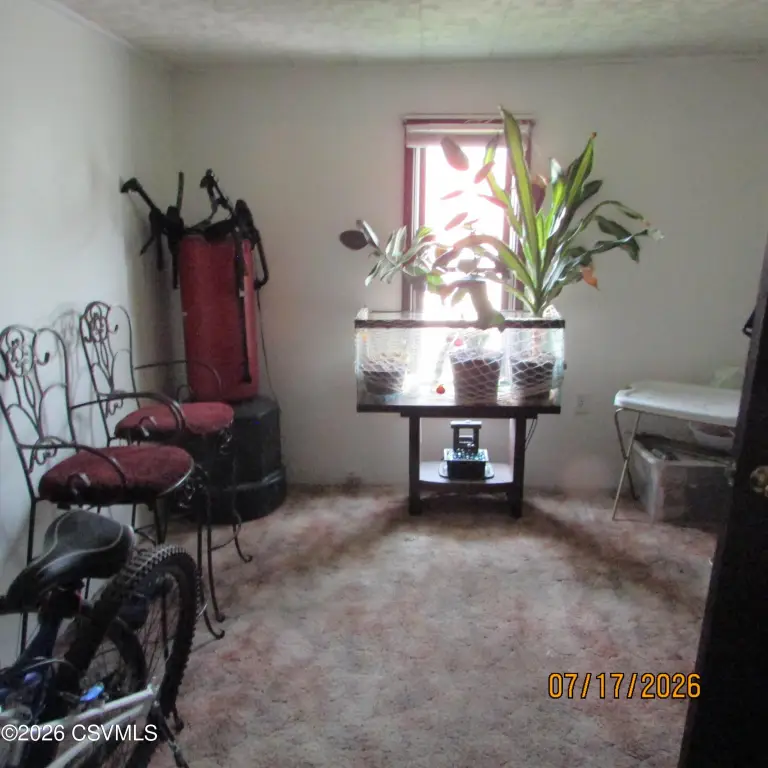 Picture 14