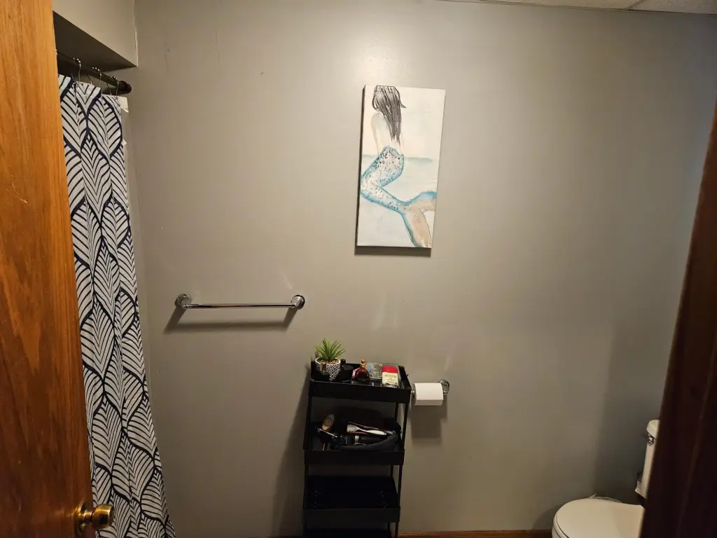 Picture 19