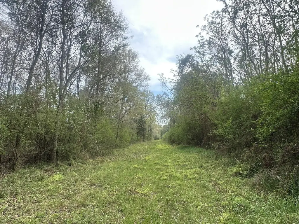 Picture 2