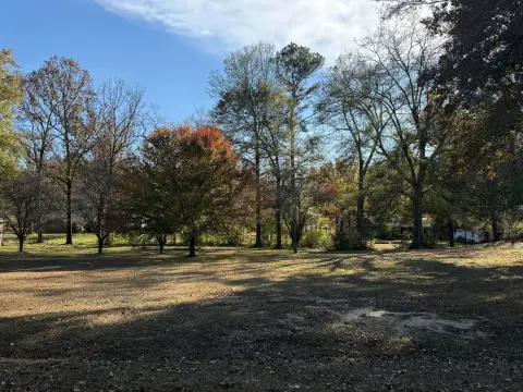 Residential Land in Jasper, AL