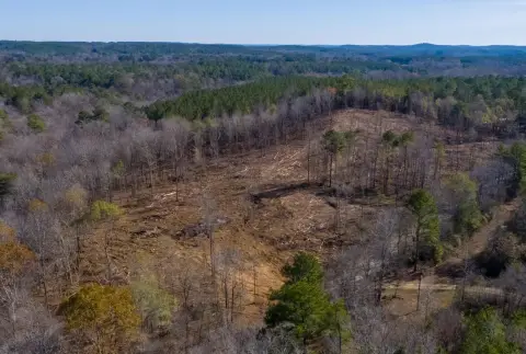 Parrish, AL Land For Sale