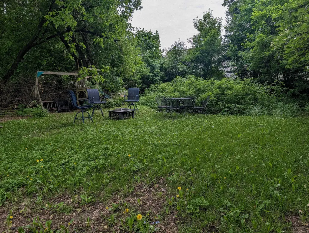 Picture 14