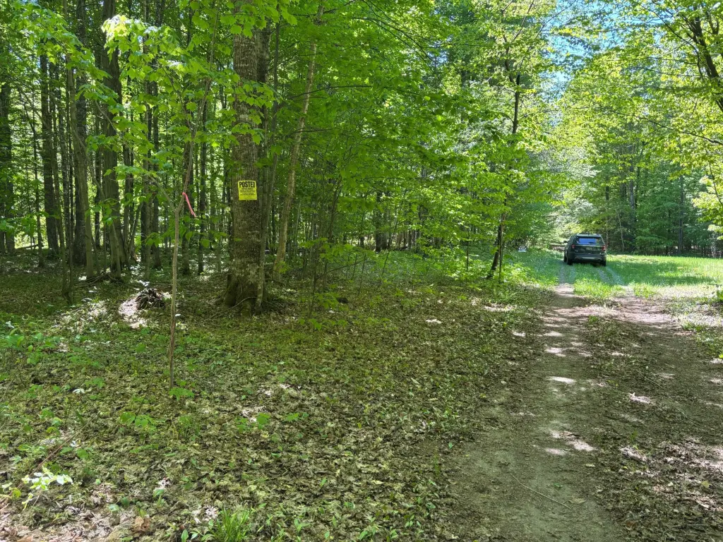 Picture 5