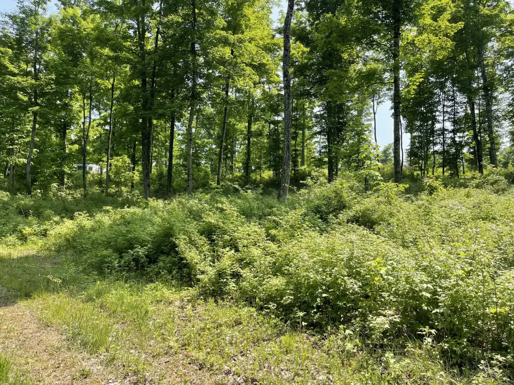 Picture 26