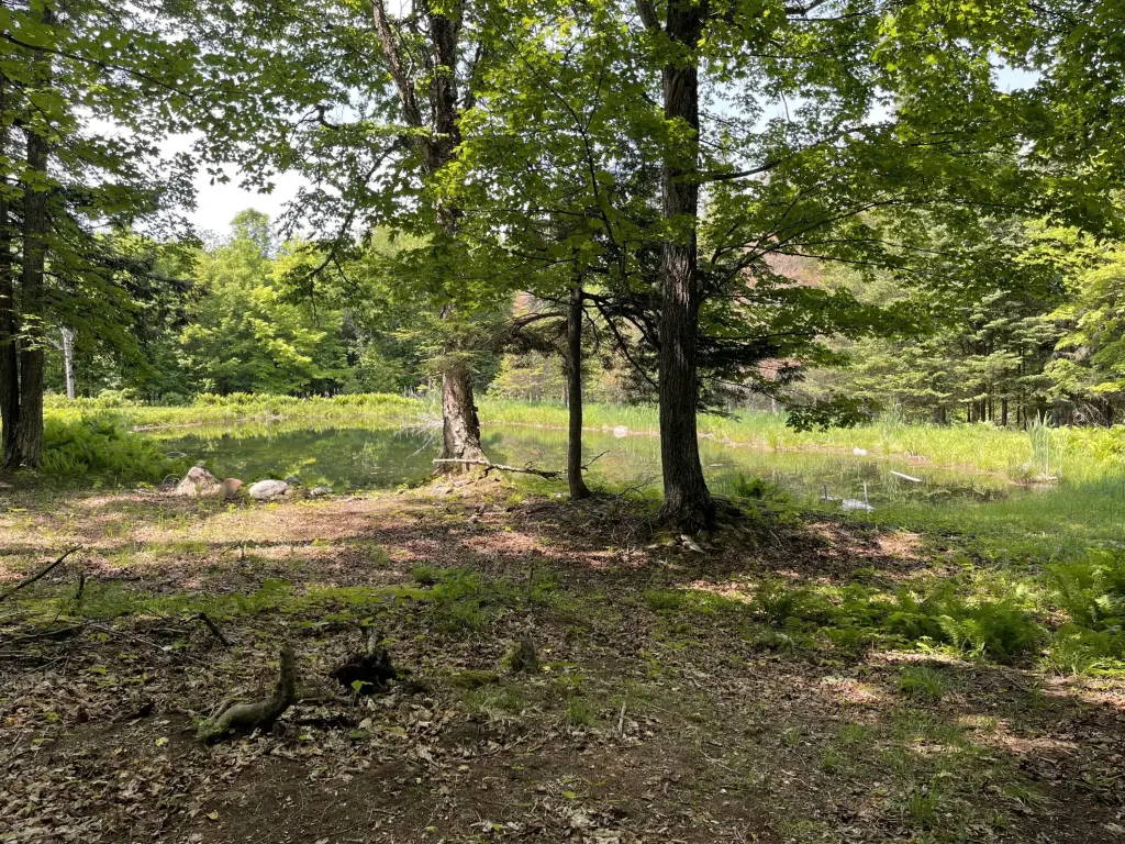Picture 16