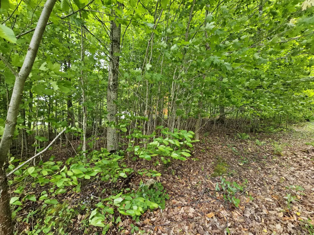 Picture 16