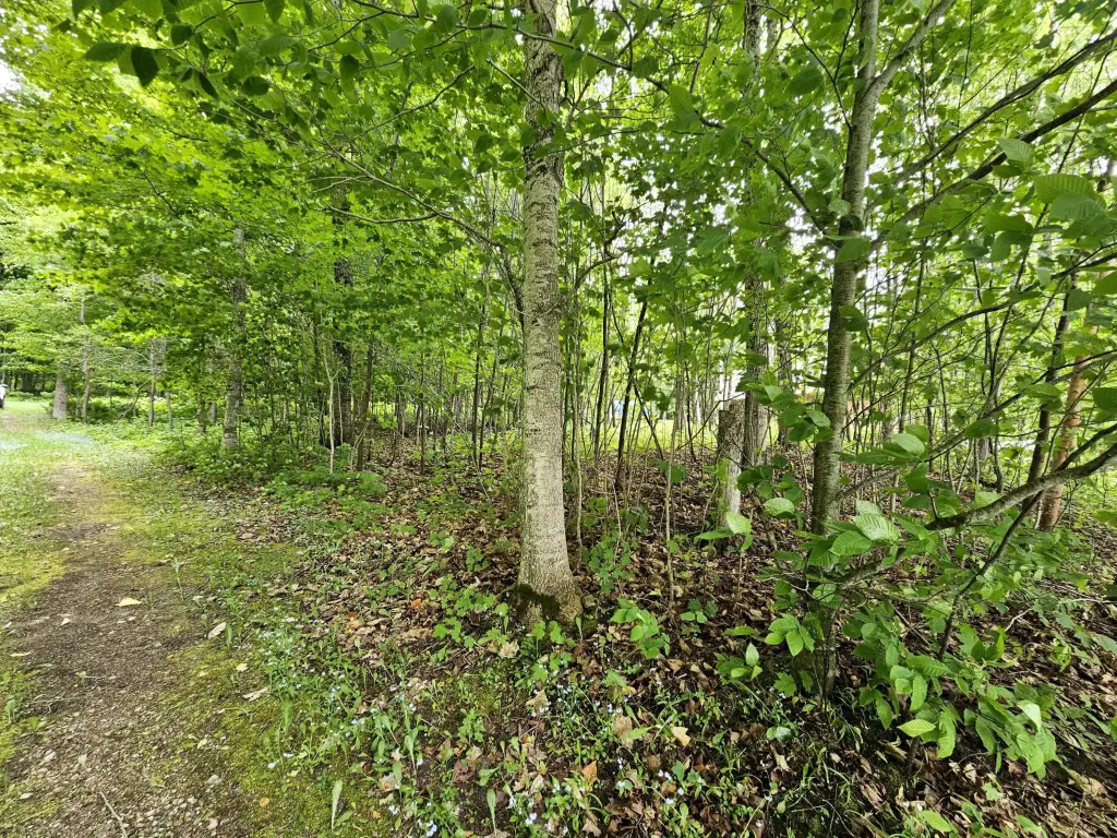 Picture 18
