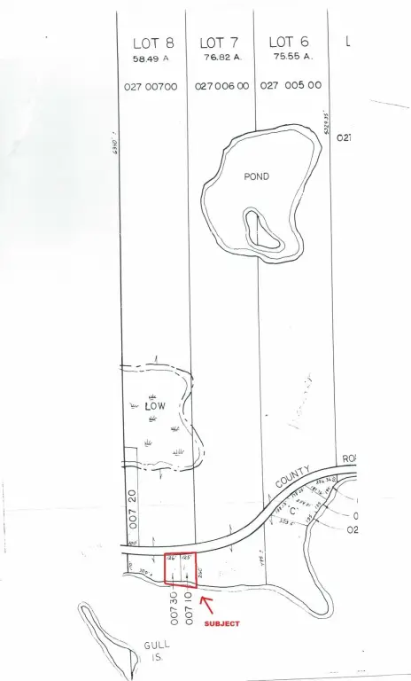 Picture 14
