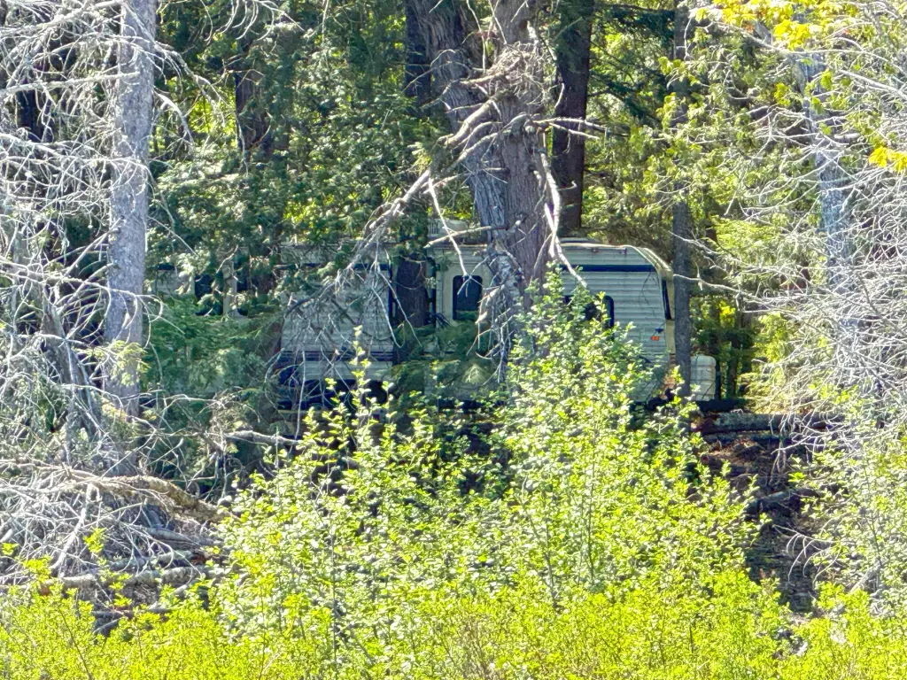 Picture 8