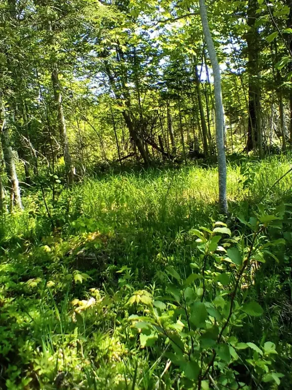 Picture 4