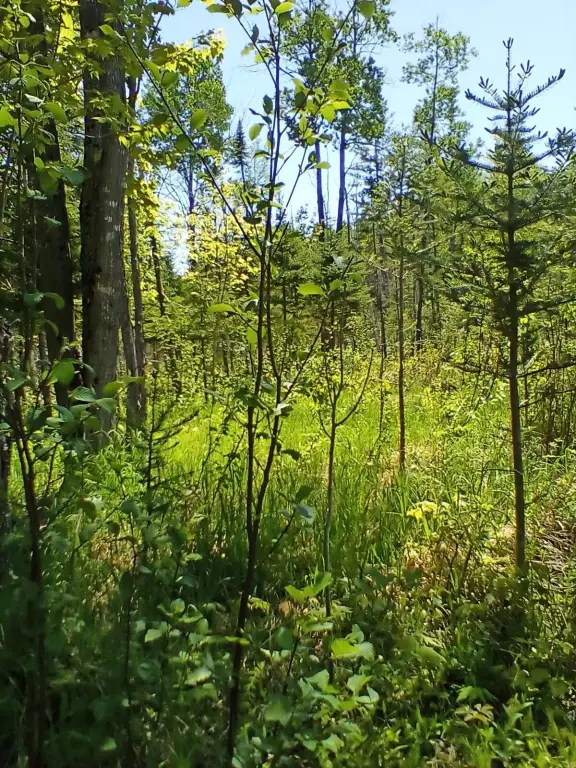 Picture 4