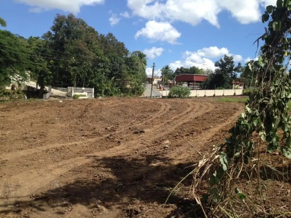 Picture 16
