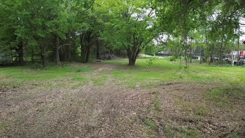 Picture 13