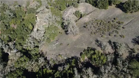 Templeton Land with Oak Trees
