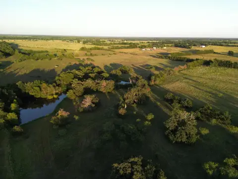 80 Acres in Limestone County