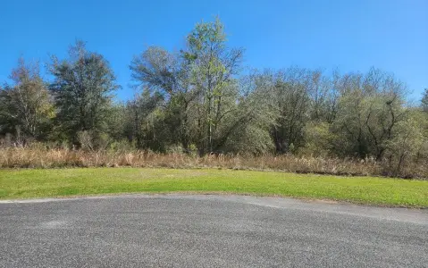 Live Oak Residential Lot