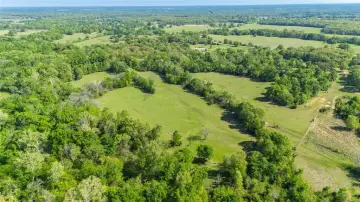 Versatile 72-Acre Wooded Tract