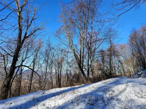 Waynesville Land with Mountain Views