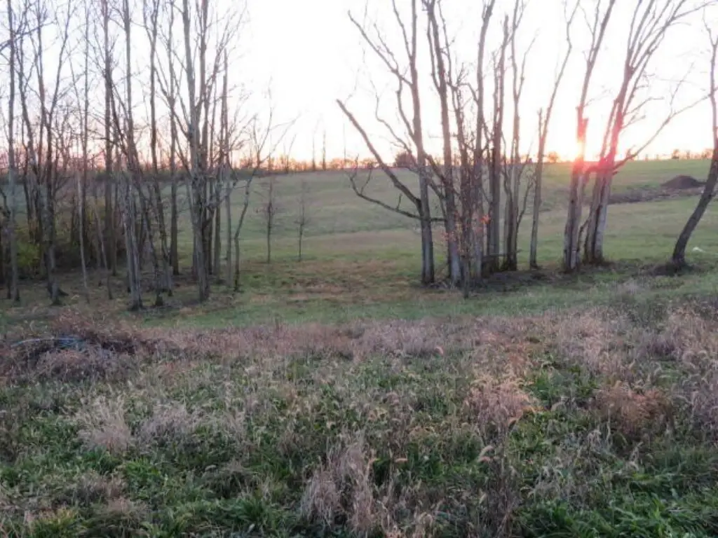 Picture 14