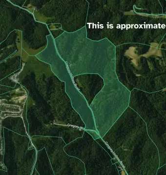 159 Acres in Olive Hill