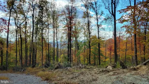 Wooded Land Ready to Build