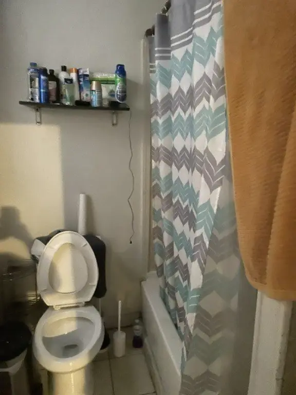 Picture 13