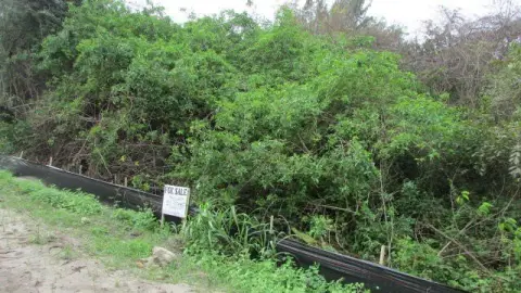 Waterfront Land in Okeechobee, FL