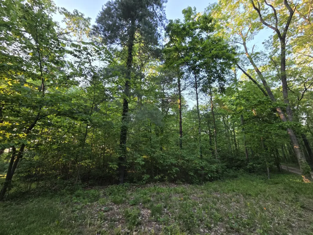Picture 5