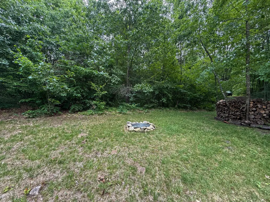 Picture 41