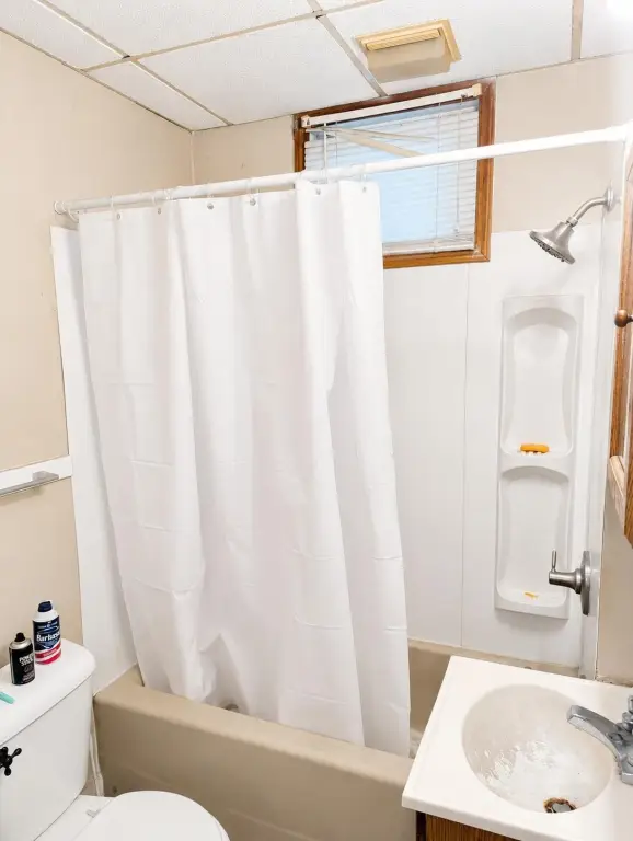Picture 21