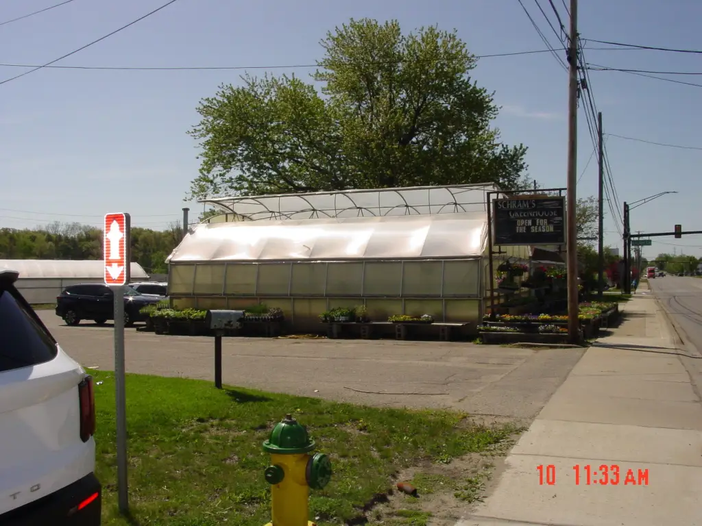 Picture 5
