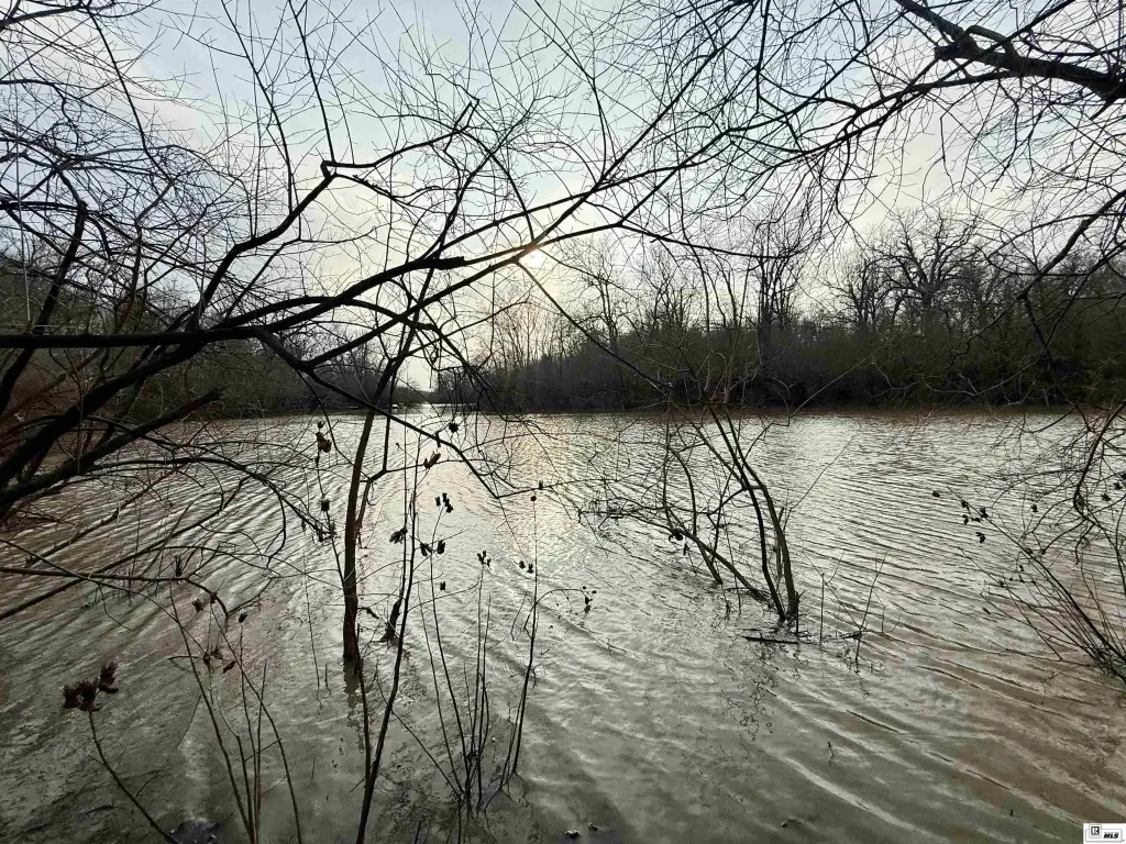Picture 7