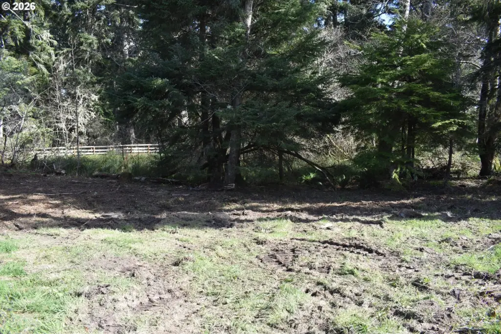 Picture 15