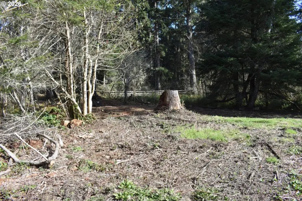 Picture 11