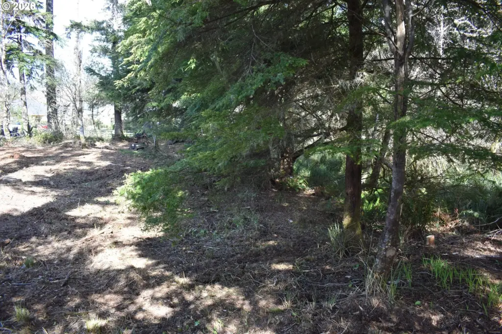 Picture 16