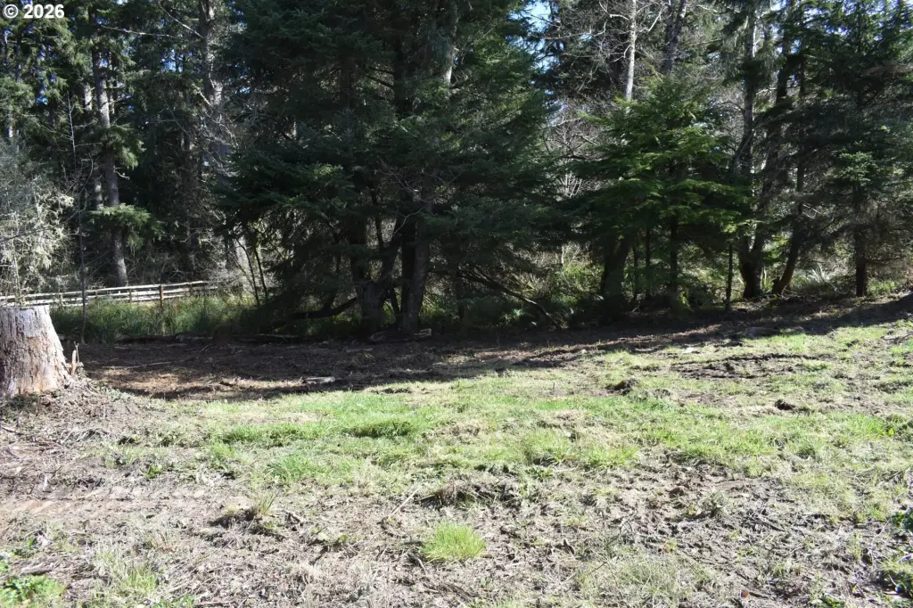 Picture 13