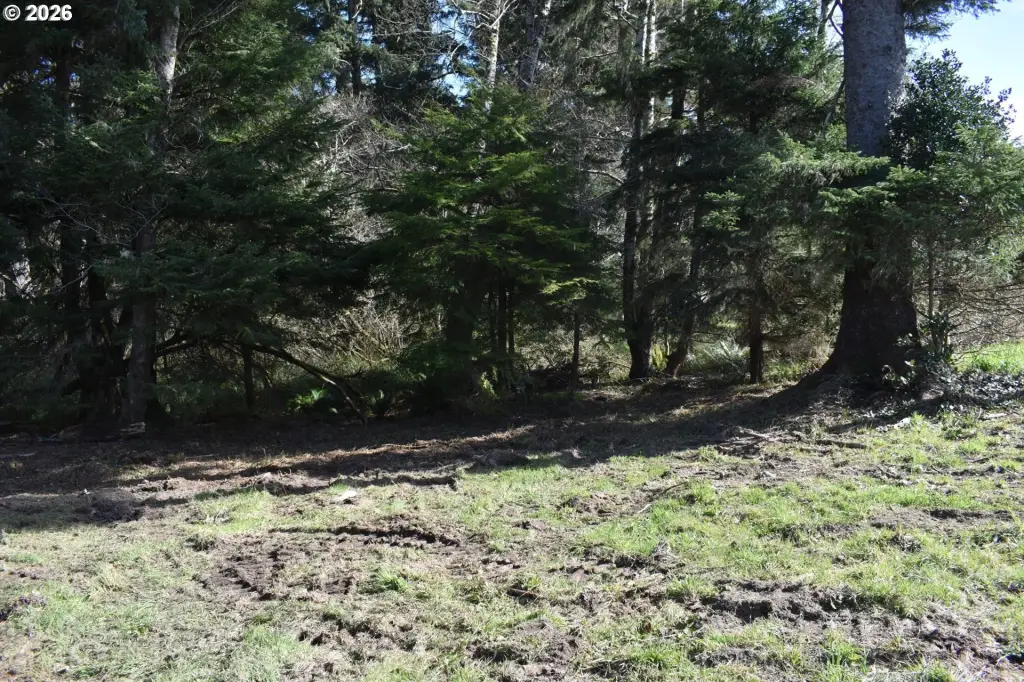 Picture 14