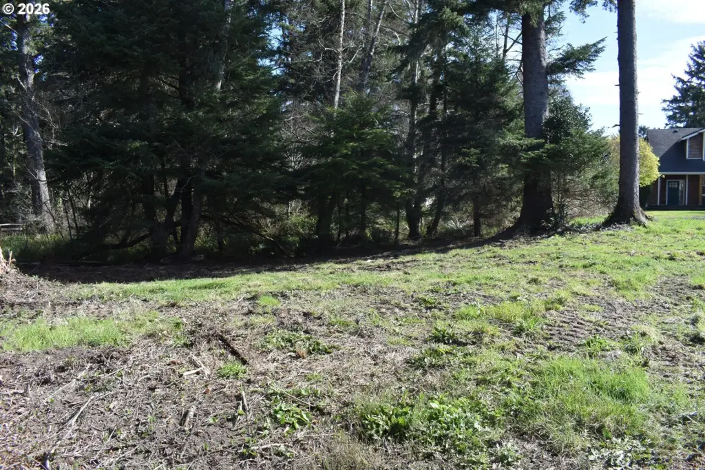 Picture 8