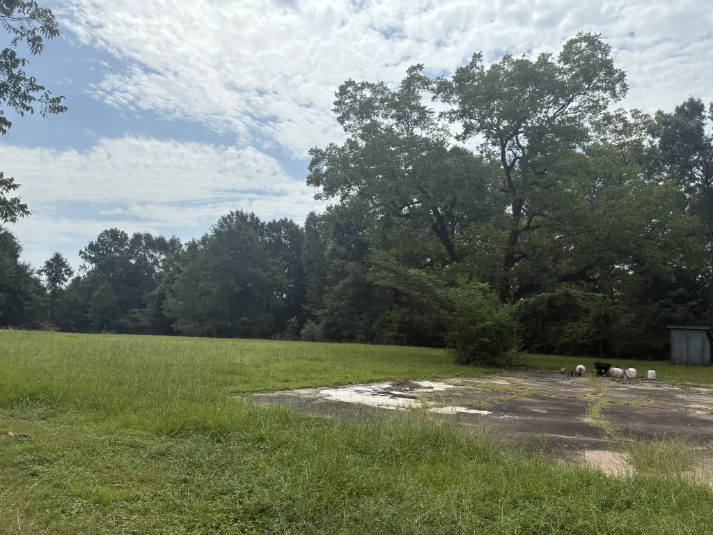 Picture 9