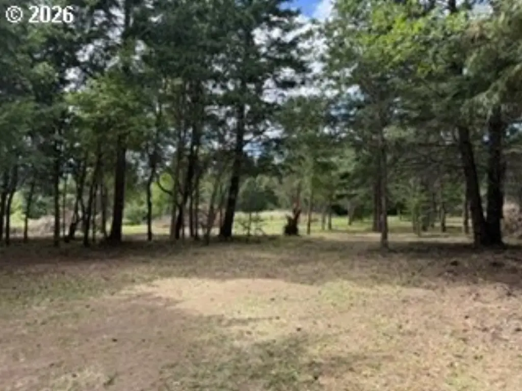 Picture 23