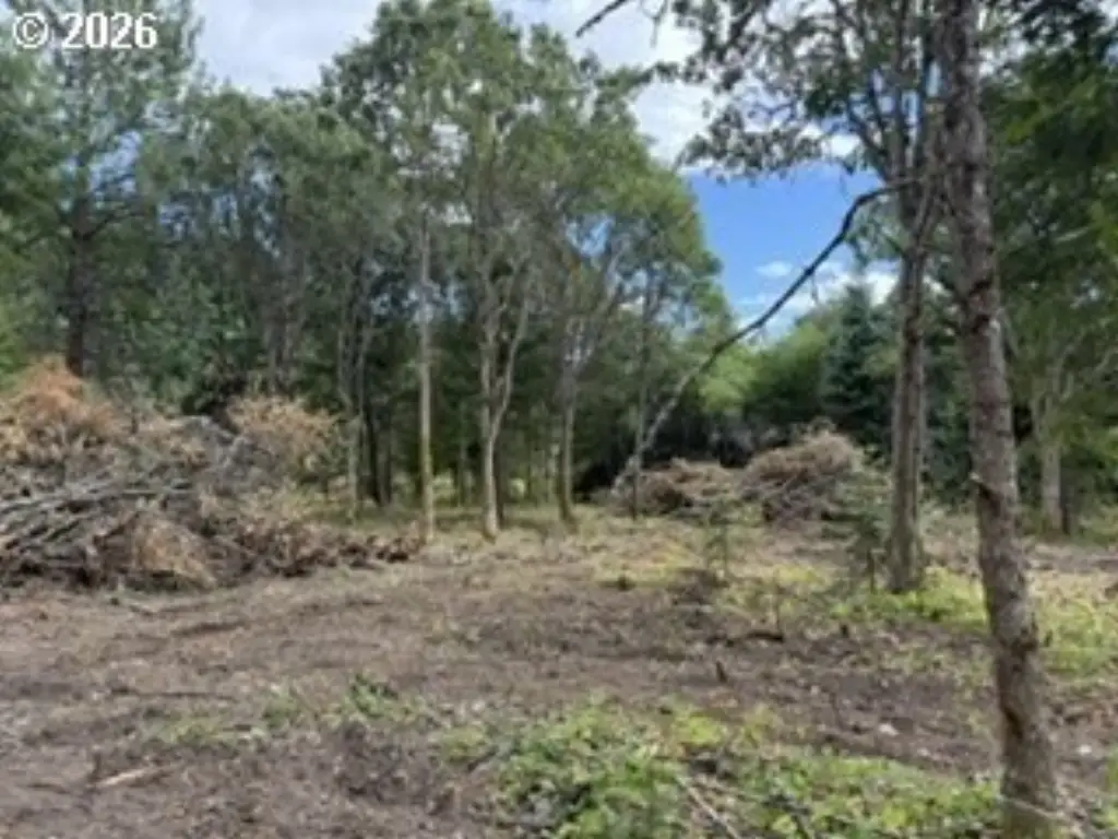 Picture 30