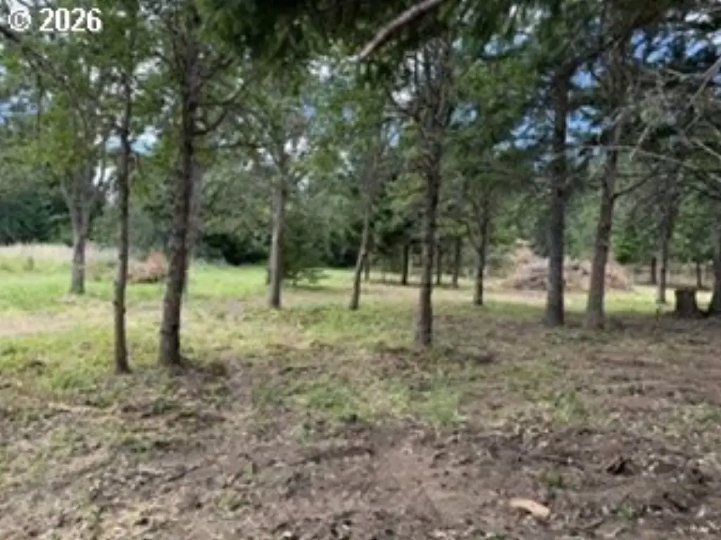 Picture 24