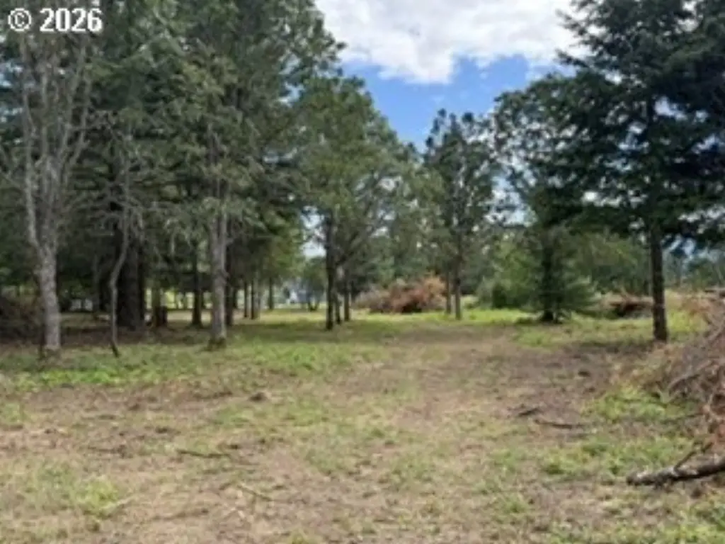 Picture 25