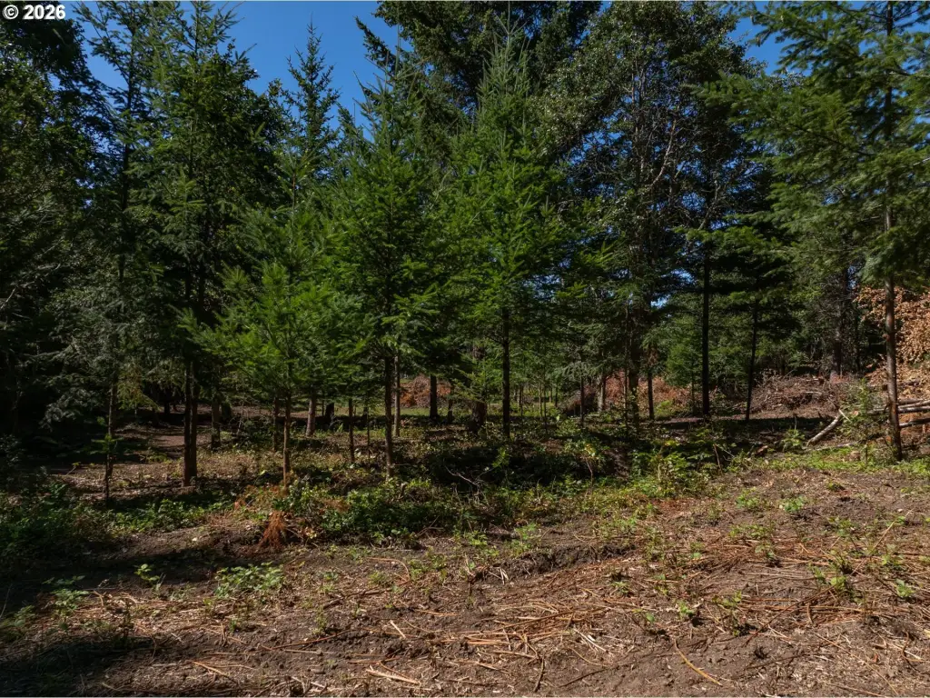 Picture 13