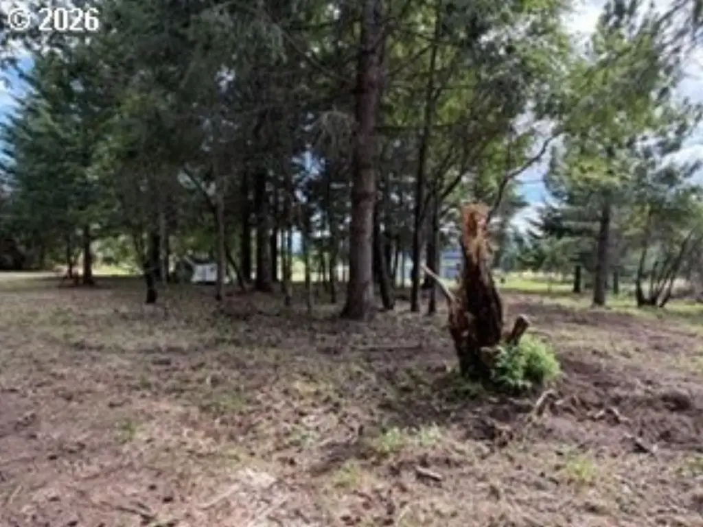 Picture 35
